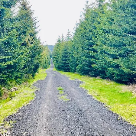 Lägenhet Twins Abertamy