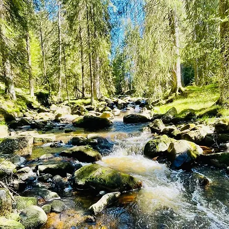 Twins أبيرتامي