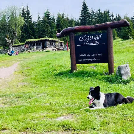 Twins * أبيرتامي